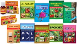 kollazh_sredstva_borby_s_boleznyami_rastenij_fungicidy_ver2017-015